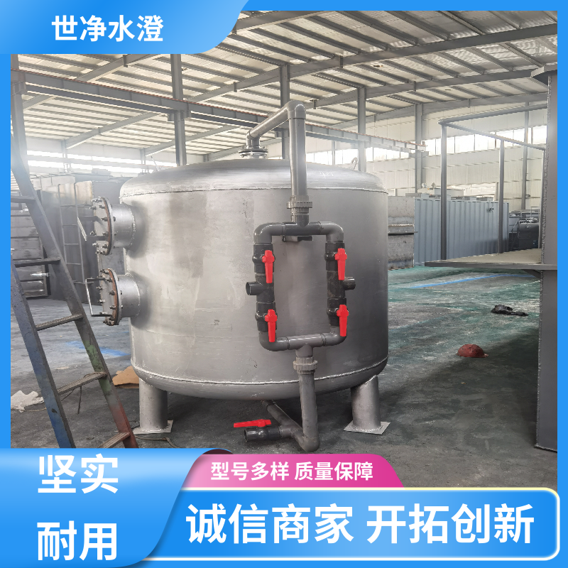 世净澄环保 碳钢防腐 江水过滤设备 可根据需求定制 经久耐用