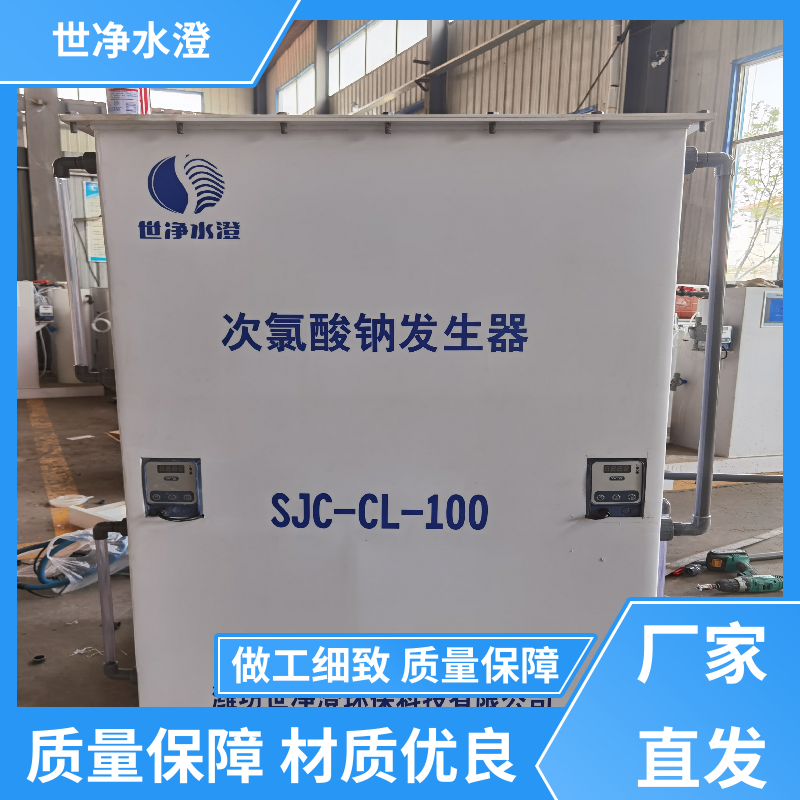 世净澄环保 集装箱式 电解食盐发生器 出水效果好 厂家供应