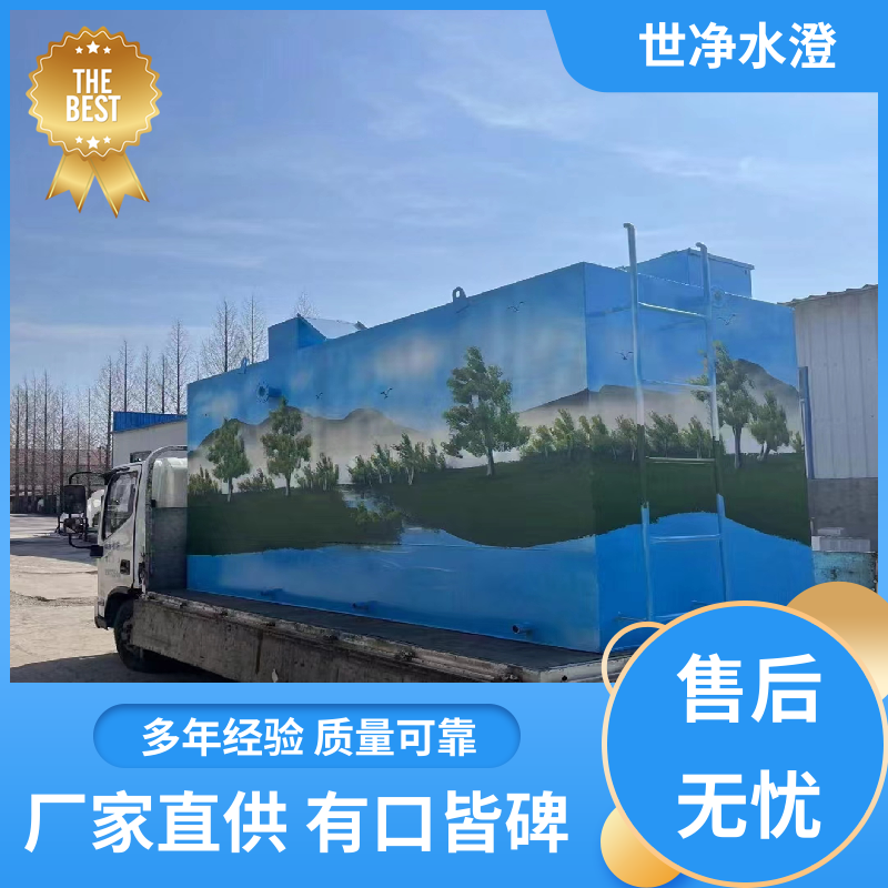 世净澄环保 集装箱式 污水处理成套设备 无需专人管理 做工细致