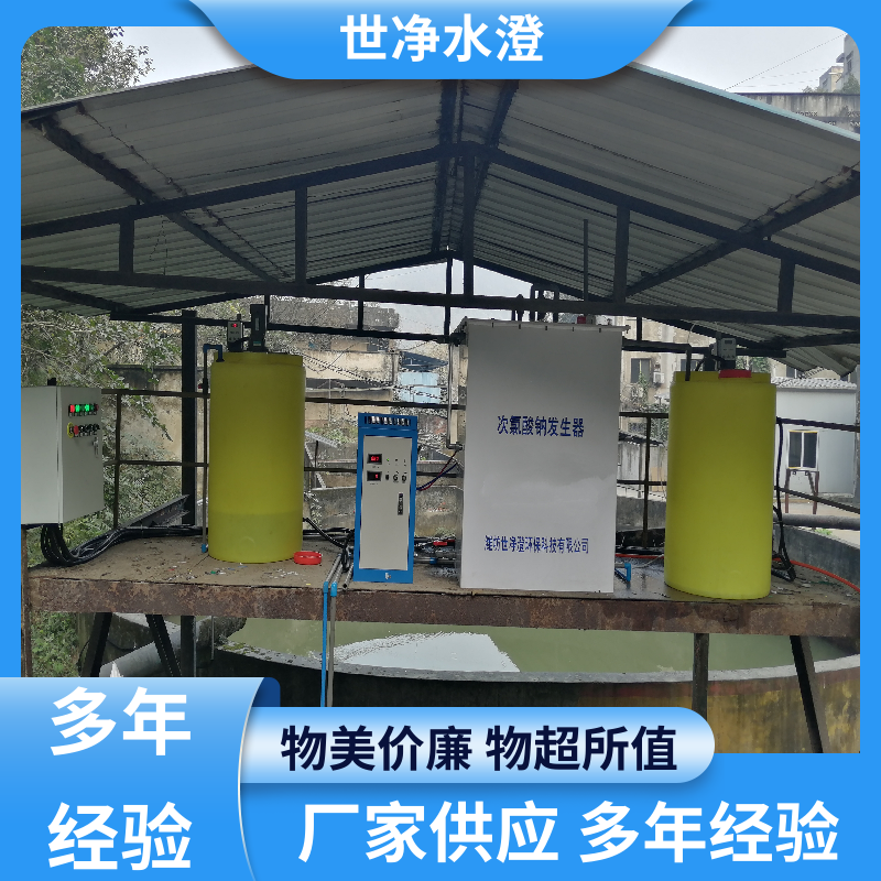 世净澄环保 选材优良 全自动次氯酸钠发生器 占地面积小 厂家供应