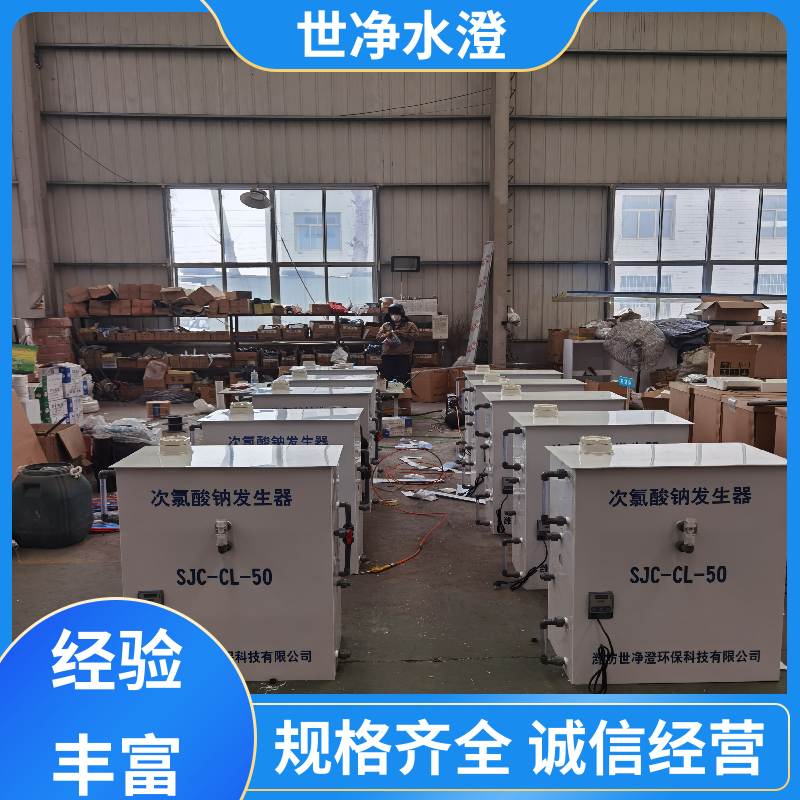 布局合理 次氯酸钠发生器 签订合同 选材优质 世净澄环保