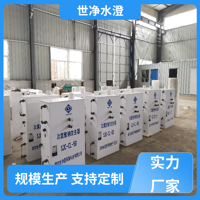 专业性强 全自动次氯酸钠发生器 使用寿命长 厂家直供 世净澄环保