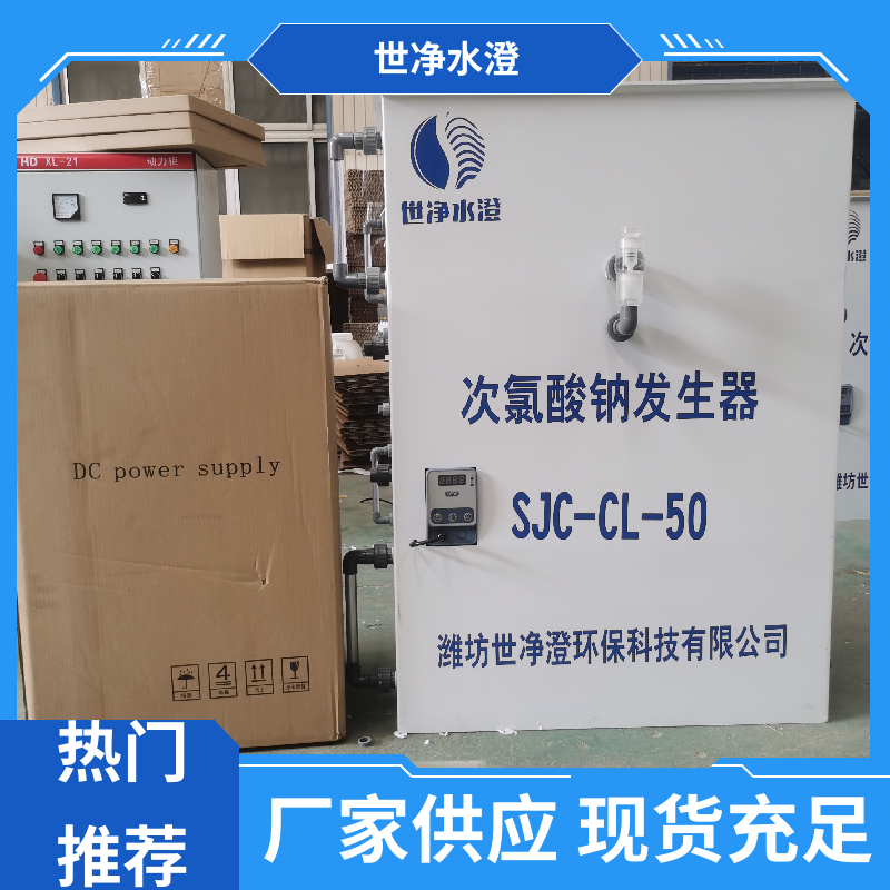 地上式 电解食盐发生器 无需专人管理 做工细致 世净澄环保