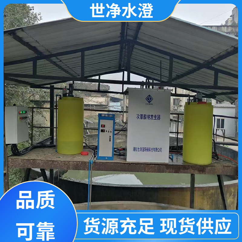 世净澄环保 操作方便 农村安全饮水消毒设备 考察现场 规格齐全