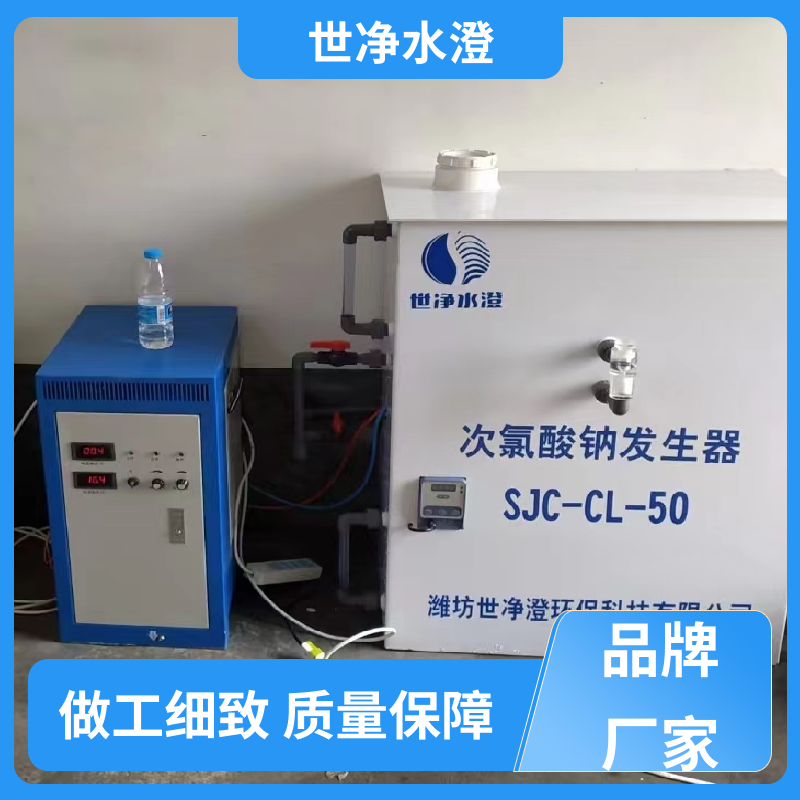 世净澄环保 无人值守 全自动次氯酸钠发生器 24小时服务 厂家供应