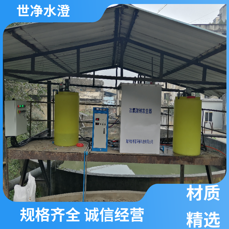 世净澄环保 选材优良 电解法次氯酸钠发生器 污水脱色 支持定制