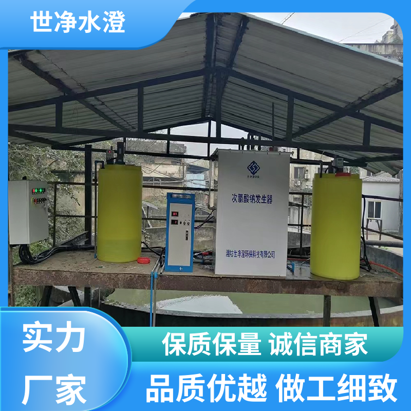 提供安装 全自动次氯酸钠发生器 出水效果好 品质优越 世净澄环保