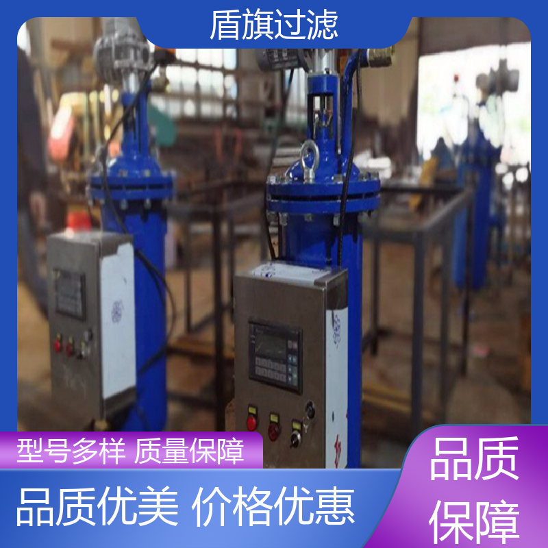 盾旗过滤 诚信经营 刮刀式自清洗过滤器定制 自动程度高 品质可靠