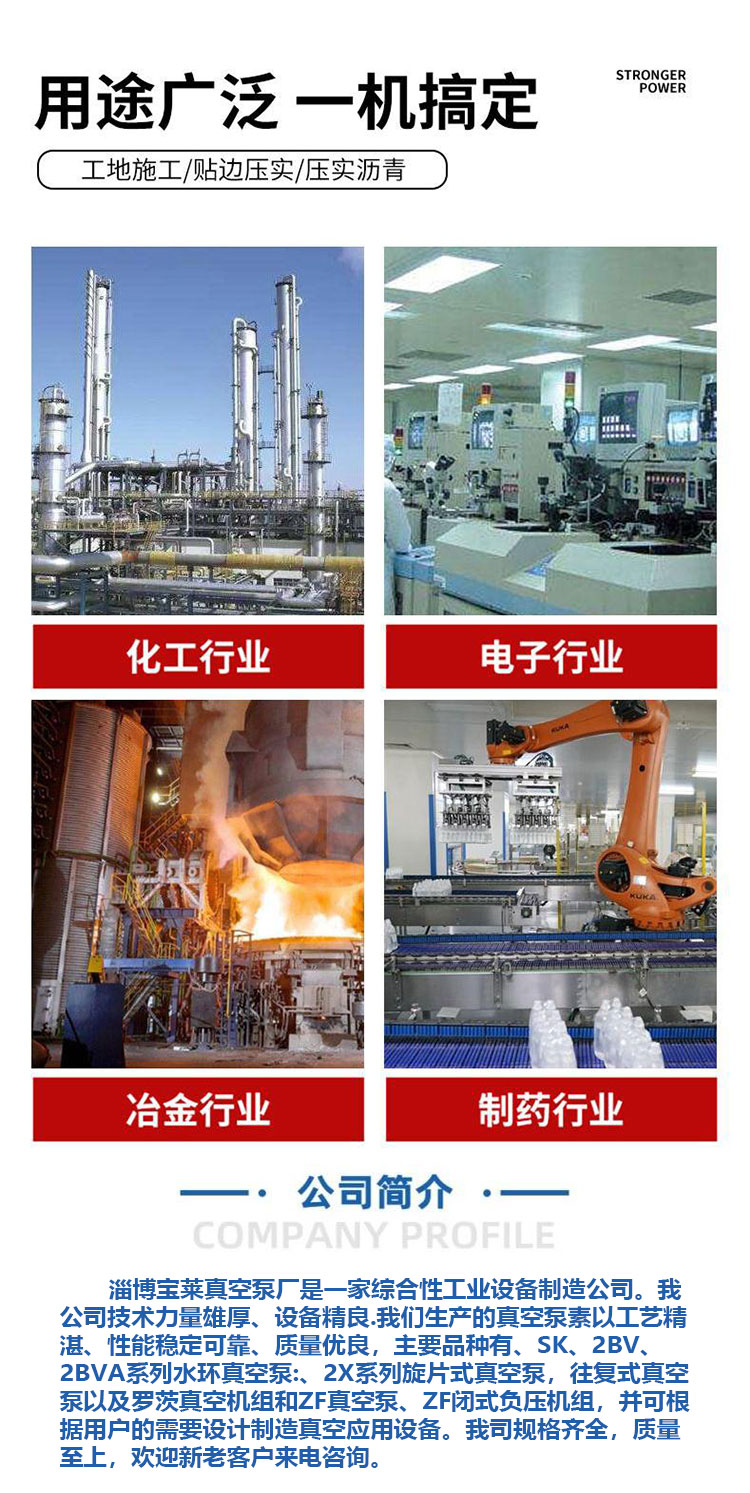 Energy saving and environmental protection Baolai stainless steel with complete specifications supporting customized 2XZ series vacuum pumps