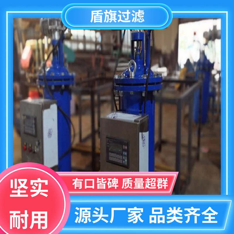 现货速发 反冲洗自清洗过滤器定制 便捷安全 品质可靠 盾旗过滤