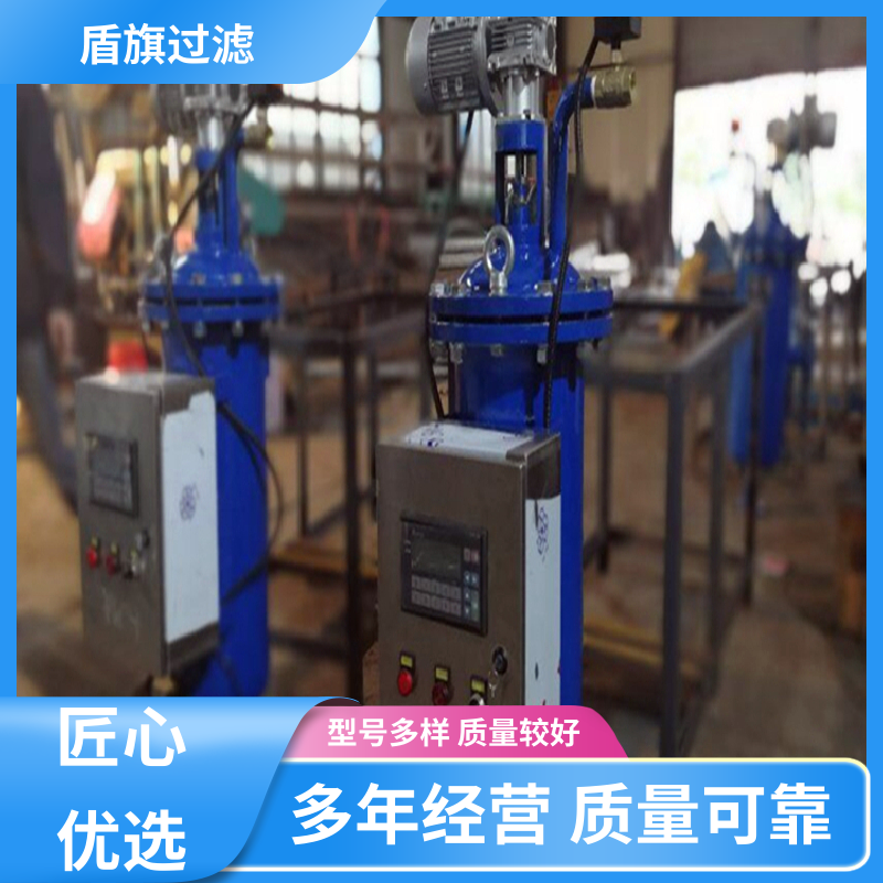 加工制作 自动自清洗过滤器 操作简单 多年经验 盾旗过滤