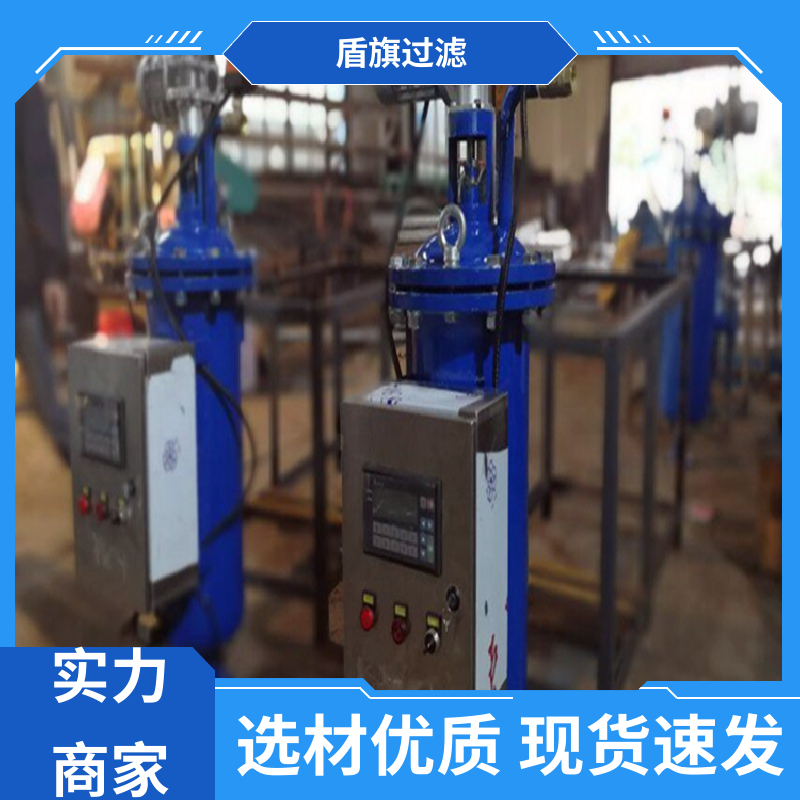 规模生产 新型自清洗过滤器定制 绿色环保 坚固耐用 盾旗过滤
