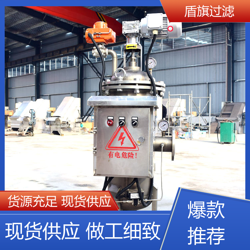 盾旗过滤 库存充足 自清洗过滤器定制 绿色环保 开拓创新