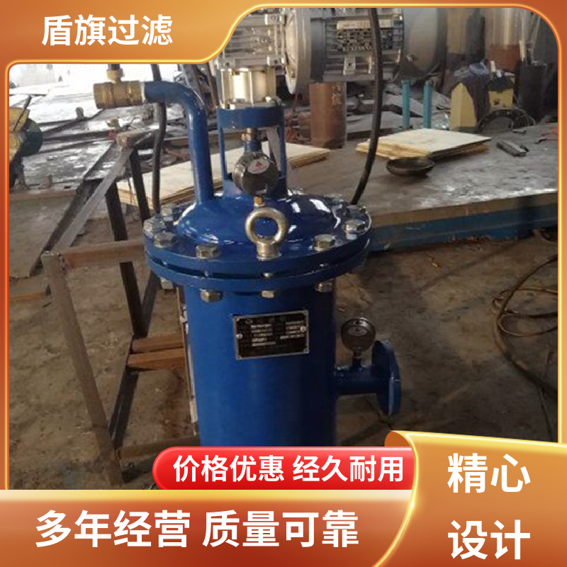诚信经营 多芯式自清洗过滤器 自动排污 厂家直供 盾旗过滤