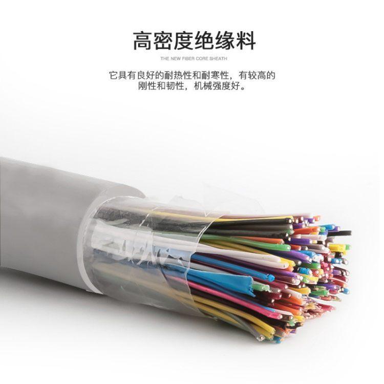 耐高温计算机电缆DJFFP系列 阻燃铠装屏蔽通信电缆ZR-HYAP23