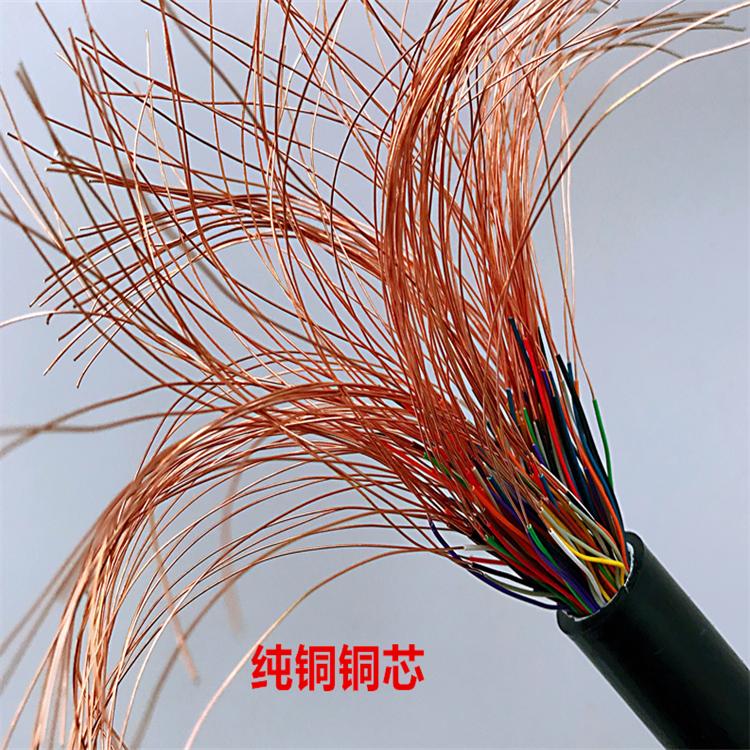 铜带总屏蔽A类导体 DJYVP2 双绞屏蔽电缆NH-DJYP2VRP