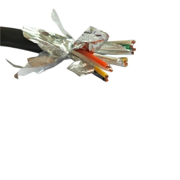 DJYPV1*2*1.5计算机控制电缆 DJFPV阻燃对绞式线缆