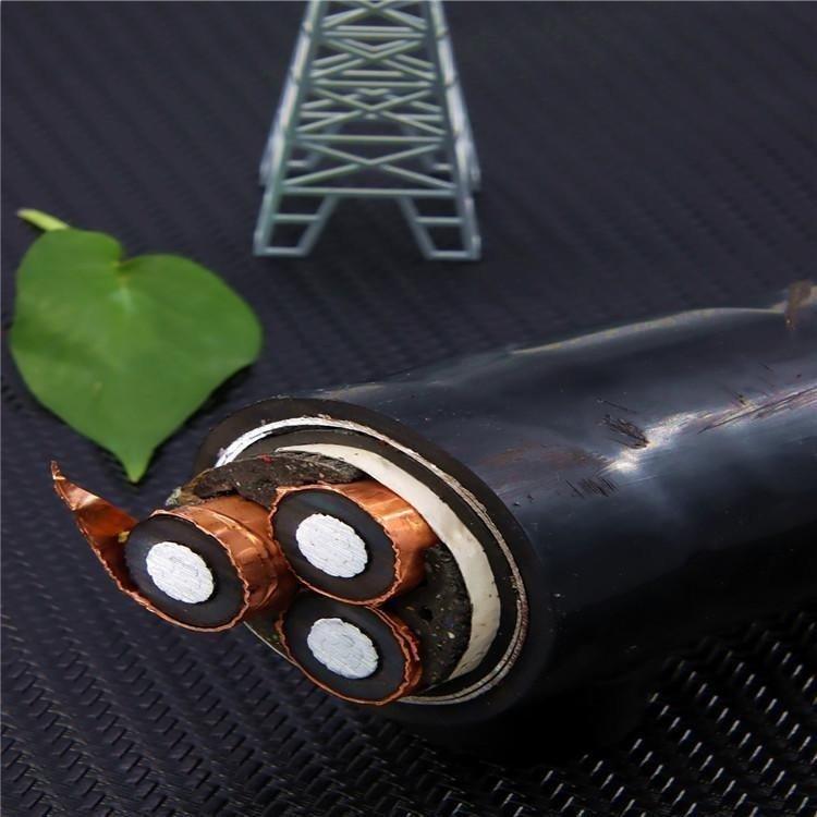 YJV交联铜芯电力电缆 YJV0.6/1KV 3*70+1*25铜芯电缆