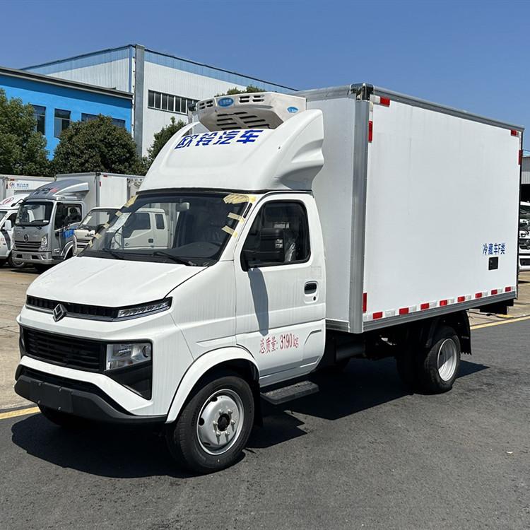 国六吉利欧铃锋锐F3小型冷藏车 3米后双轮3吨冷链车 备用电源