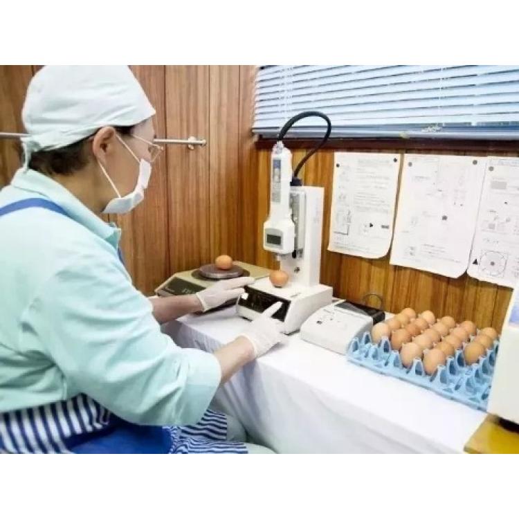 日本硬度计弹性仪粘度计质构仪荷重试验机