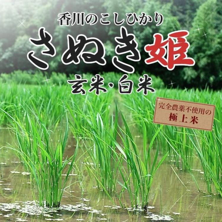 日本马路马斯碾米机MHR-1500A可加工糙米，微白米，白米