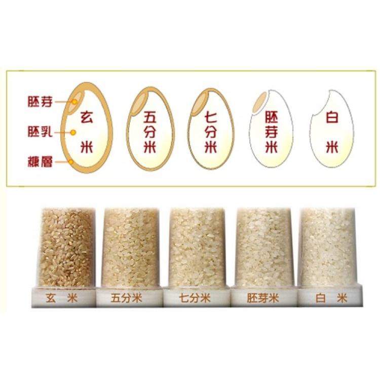 鲜米机鲜米店解决方案大米包装设计大米包装袋