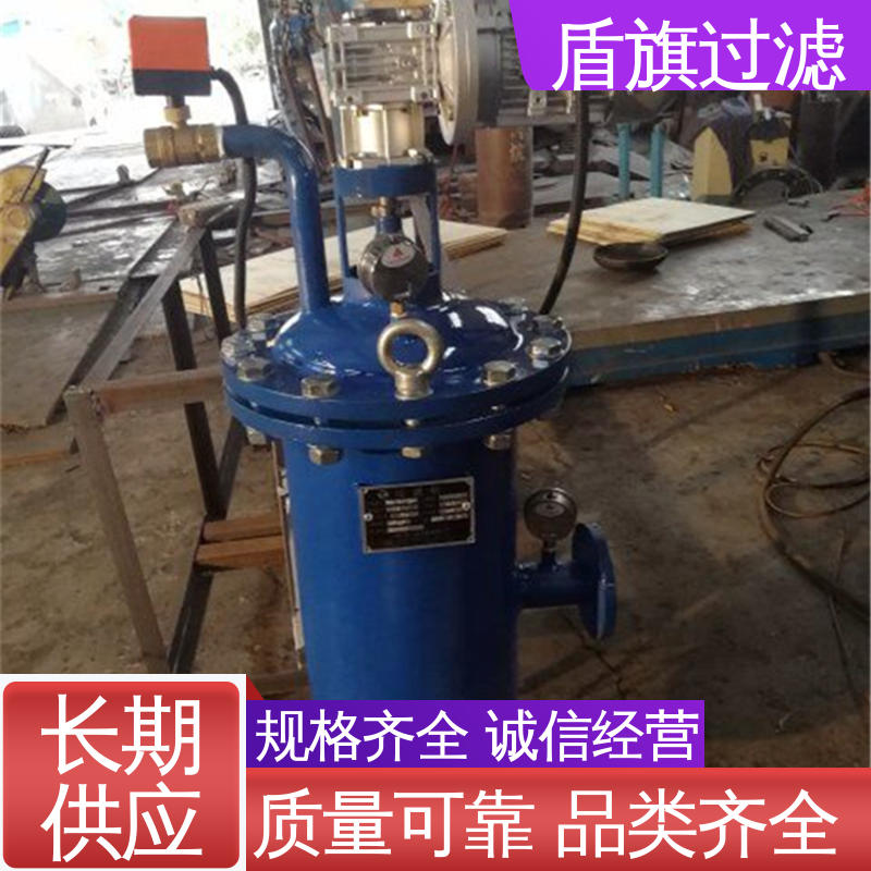 盾旗过滤 长期供应 刮刀自清洗过滤器订做 安全环保 开拓创新
