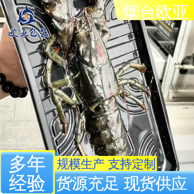 交货快捷 一站式服务 三文鱼真空贴体包装 立体感强 欧亚