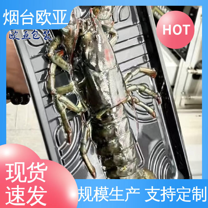 欧亚包装 耐冻耐热 一站式服务 交货快捷 鱼丸贴体膜