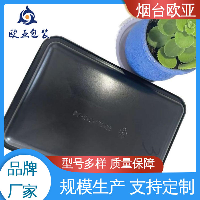 立体感强 一站式服务 鱼丸贴体膜 免费发样 欧亚包装