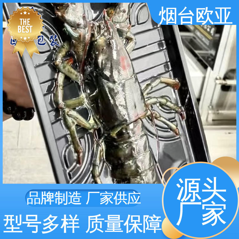 低温热封 一站式服务 降低储运成本 贴体膜 欧亚包装