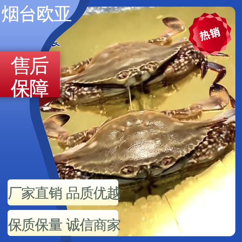 质量保证 食品级 20年生产经验 高阻隔膜 欧亚包装