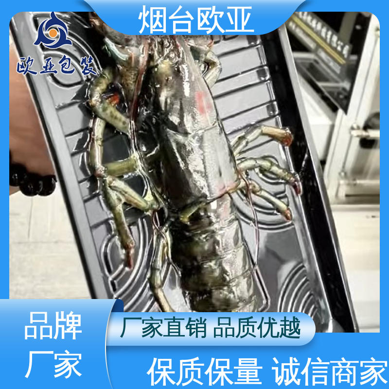 品种齐全 抗穿刺 高效环保 冷冻虾块贴体膜 欧亚包装