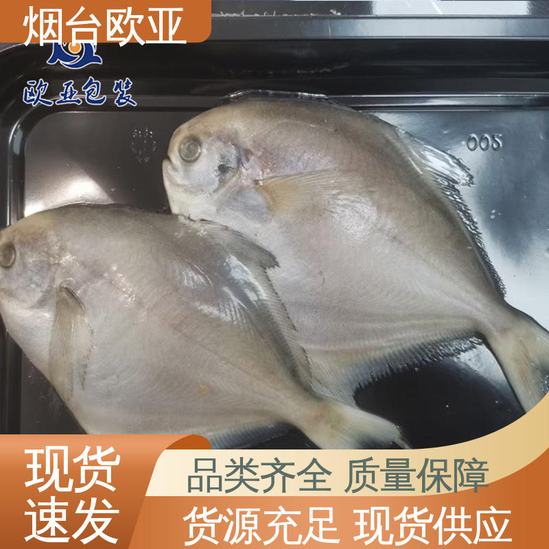 环保级产品 真空贴体托盘 专业定制 边角圆润 欧亚包装
