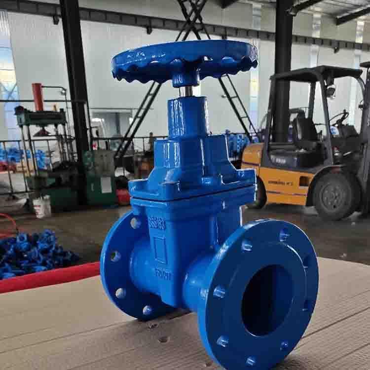 进口 Z45X-16Q 软密封暗杆法兰消防闸阀 铸铁 球铁 铸钢 DN25-DN800 厂家
