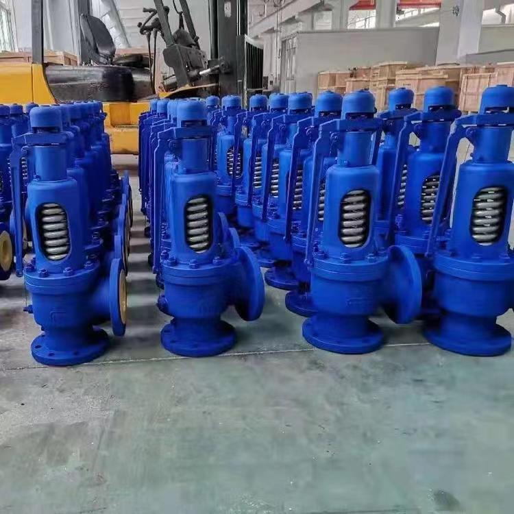 进口 WA42Y/H 波纹管式平衡安全阀 高压全启式阀门 DN15-DN500