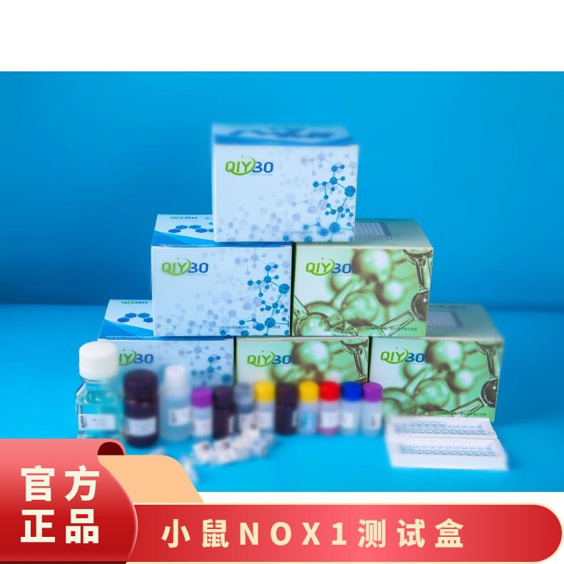 小鼠尼克酰胺腺嘌呤二核苷酸磷酸氧化酶1（NOX1)ELISA测试盒