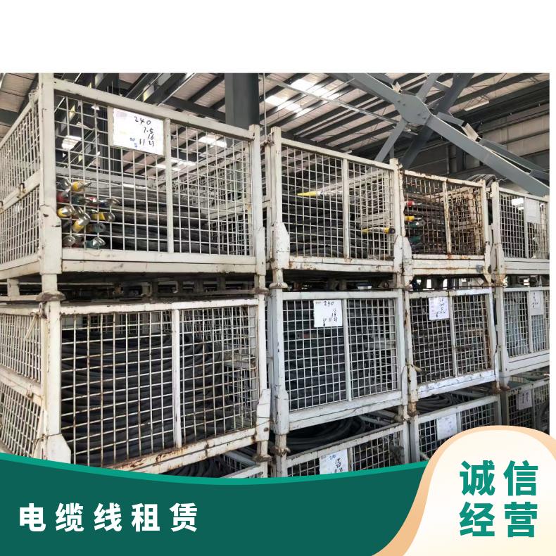 上 海徐汇区电缆线出租 6-3002单多芯电缆租赁 展会美食节活动租用