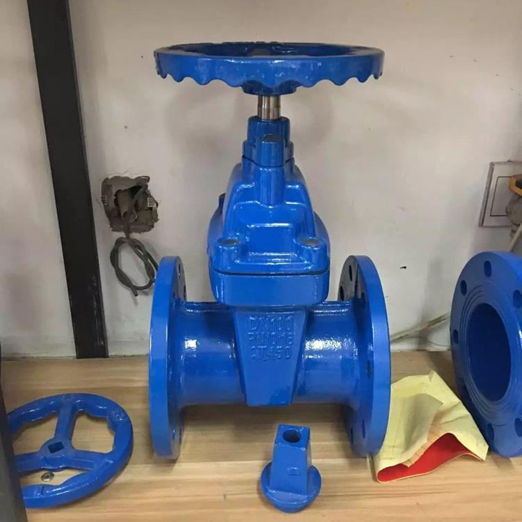 进口 球墨铸铁 阀门 大口径 重体 闸阀 DN100/150/200 Z545X-16Q