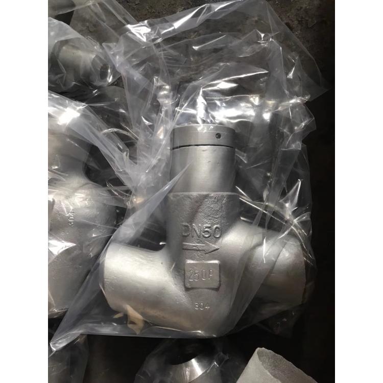 进口 H61Y-250P 不锈钢电站升降式止回阀 高温高压止回/阀 水电厂专用