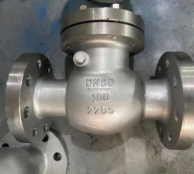 进口 H44Y-100V 高压双相钢2205止回阀 电站高温止回/阀 2507不锈钢阀