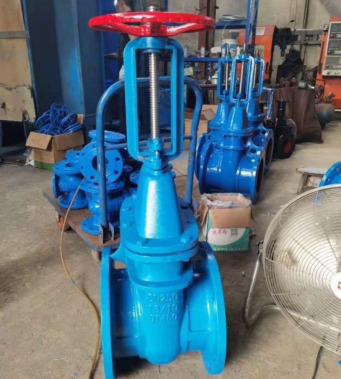 进口 Z41T-16Q 10Q 球墨铸铁铜密封法兰闸阀 硬密封明杆闸阀 球铁QT450