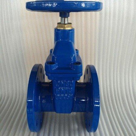 进口 Z45X-10 Q F Z C P RL 暗杆双法兰 弹性座软密封法兰闸阀 环氧树脂喷漆