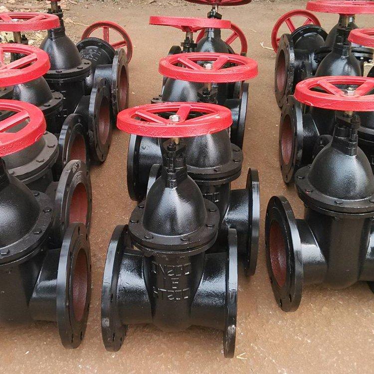进口 Z45T/W-10 手动法兰铸铁闸阀 铜芯 球铁 明杆暗杆楔式 DN25-DN1500