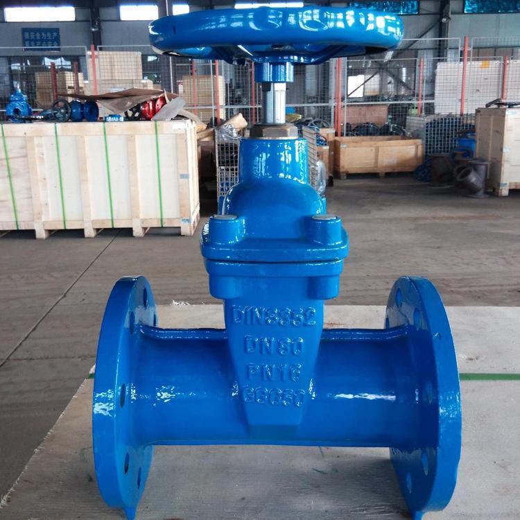 进口 Z41X-16Q 25Q 软密封弹性座闸阀 法兰明杆 橡胶闸板闸閥 水用阀门