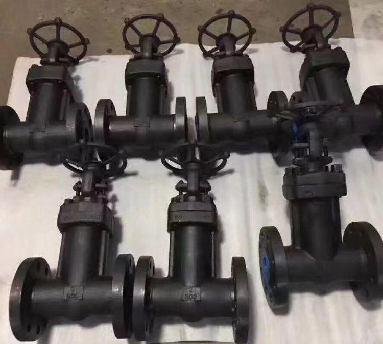 进口 WZ61Y-600LBC 锻造A105波纹管焊接闸阀 美标 300LB 150LB WCB WC6