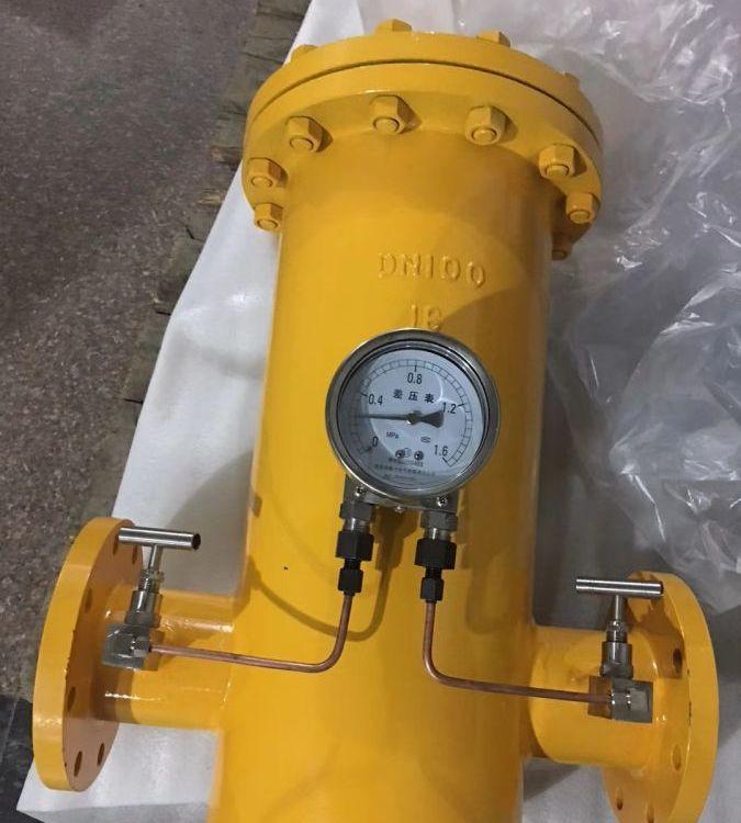 进口 YG07 天然气蓝式过滤器 燃气专用筒型过滤 DN15-DN600 铸钢不锈钢