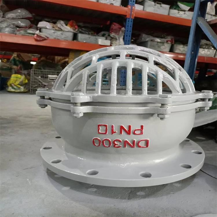 进口 H42X-10C 铸钢法兰底阀 自吸抽水泵吸水止回阀 DN15-DN900 碳钢