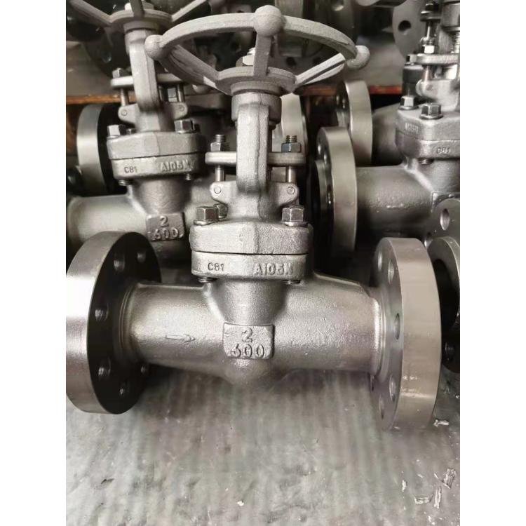 进口 Z41H Z61Y A105 F11 F304材质锻钢蒸汽用闸阀 热电化工用小口径阀