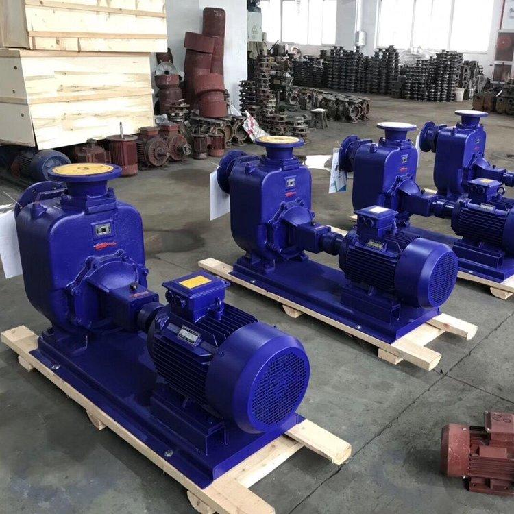 进口 ZW200-280-20自吸无堵塞排污泵 大型污水自吸泵